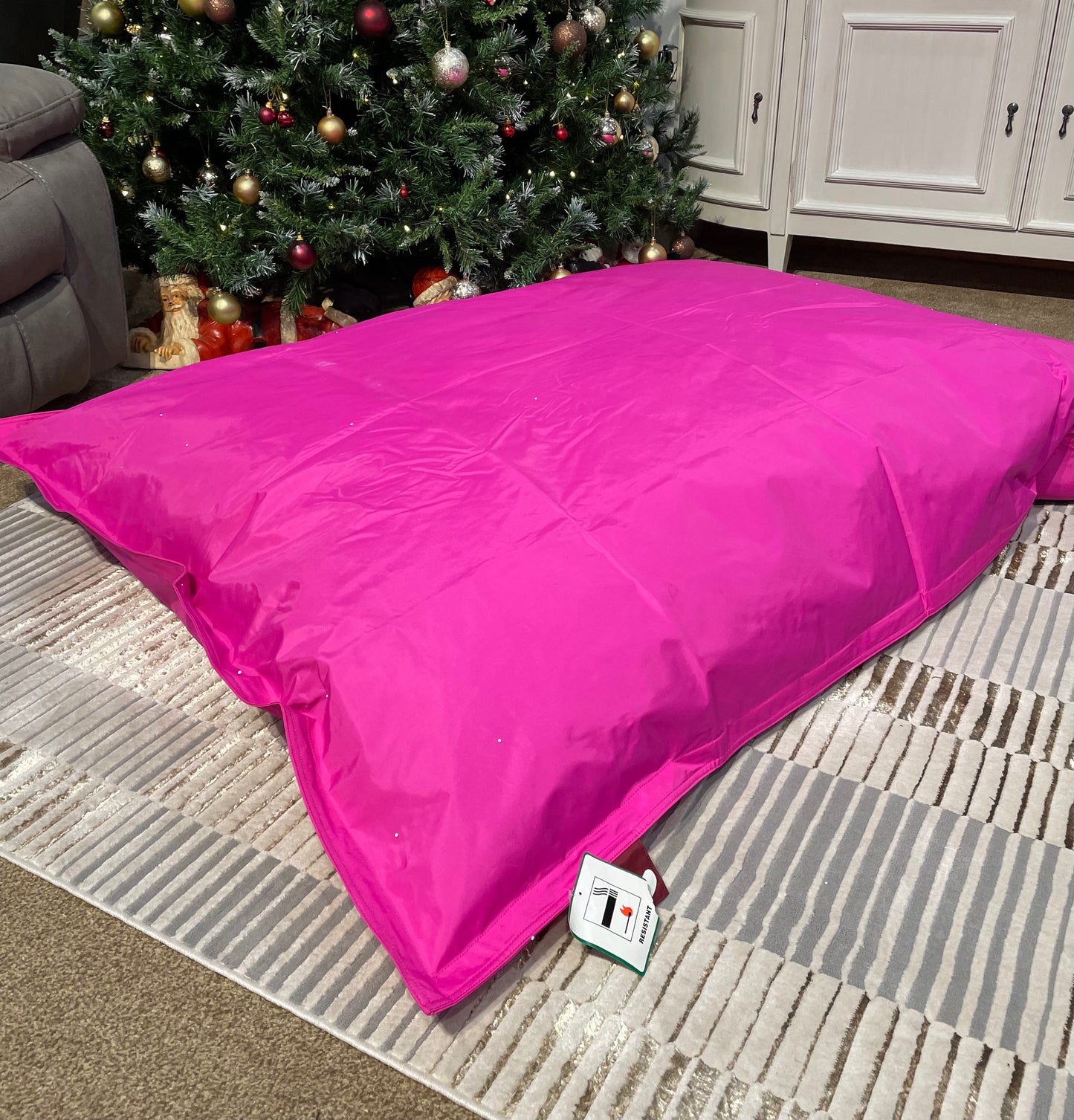 Large Pink Beanbean Bag